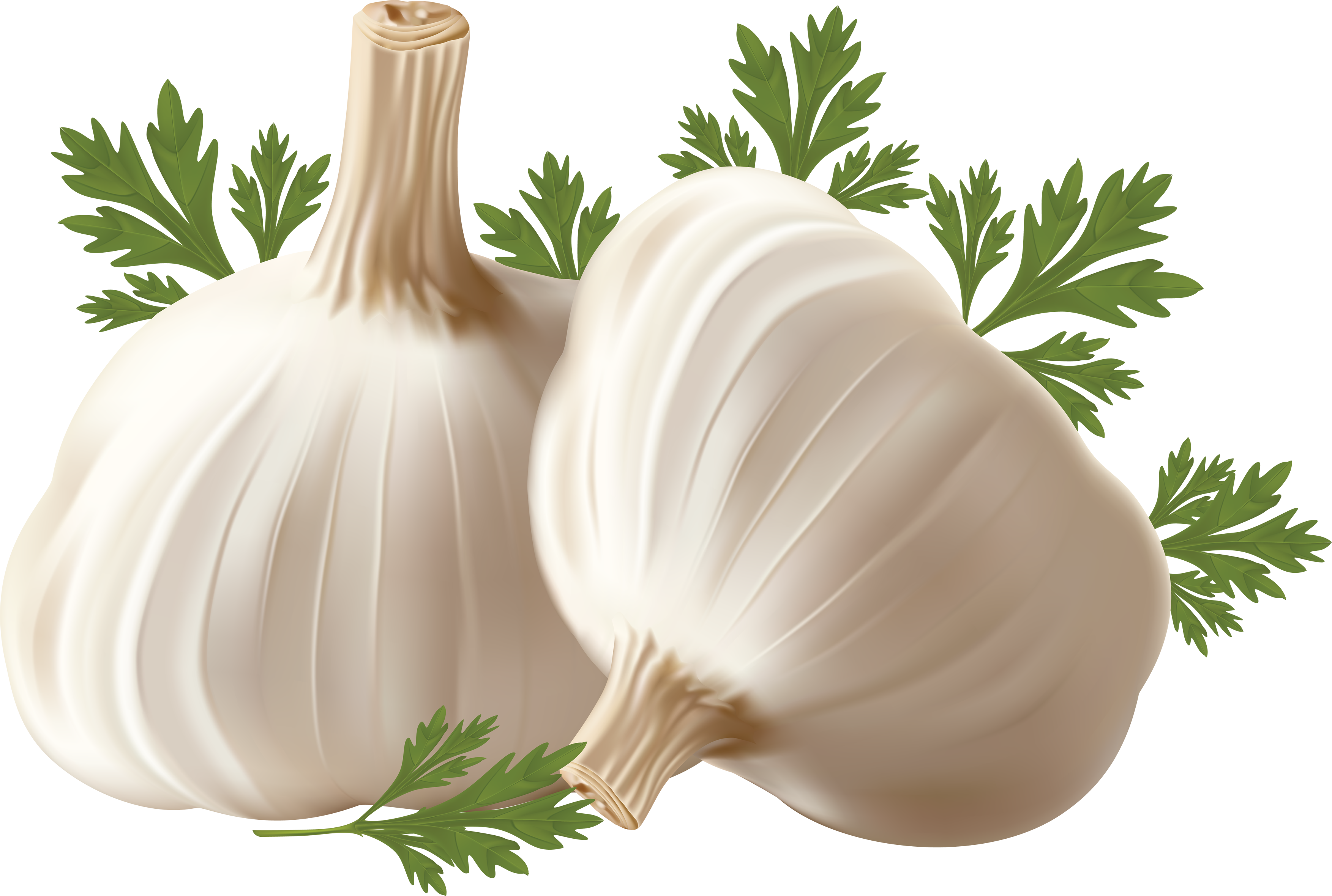 ajo