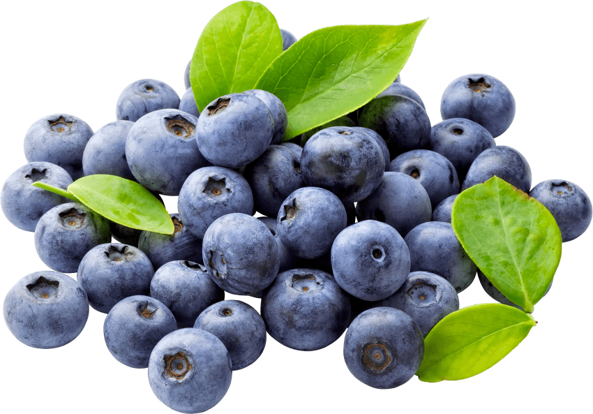 arandanos