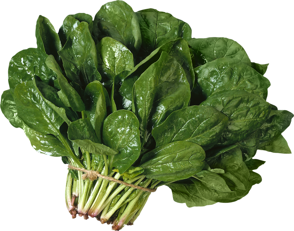 espinaca
