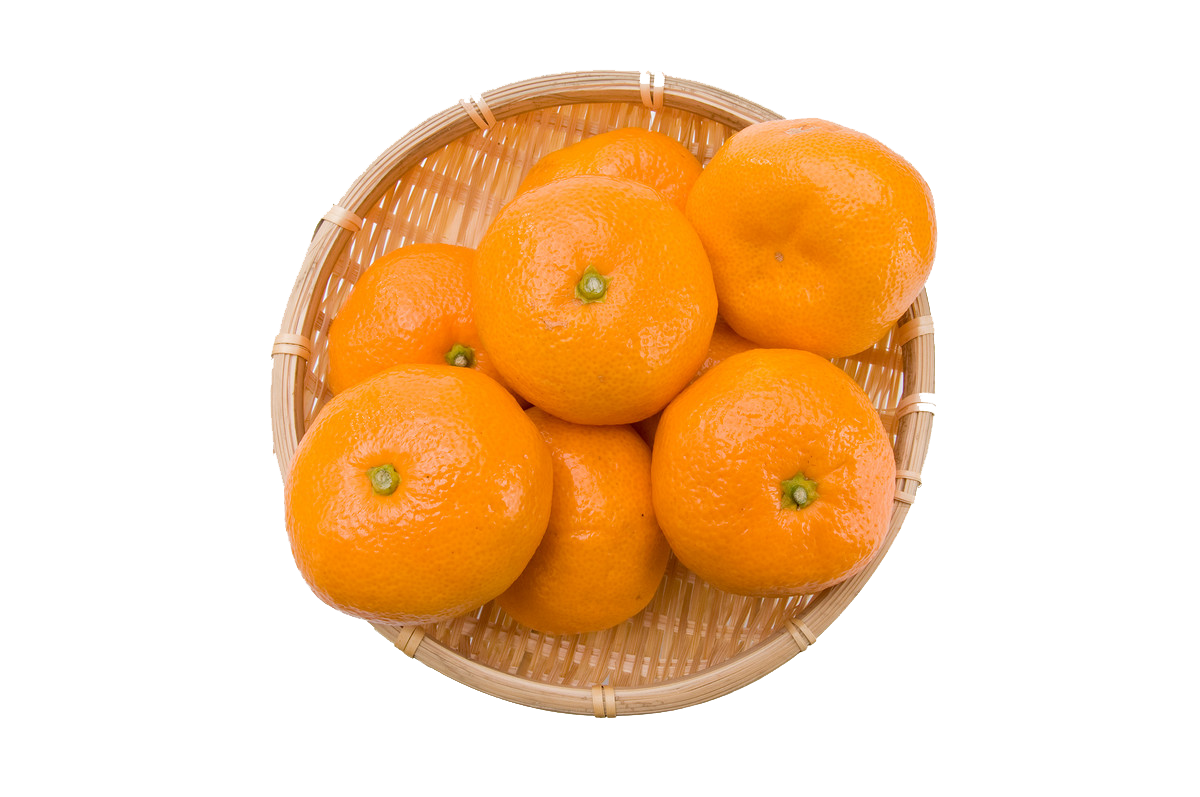 mandarina-criolla