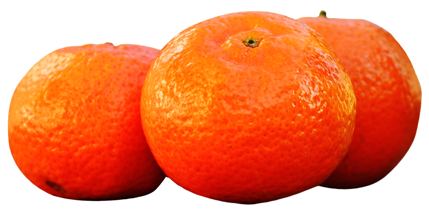 mandarina-nova