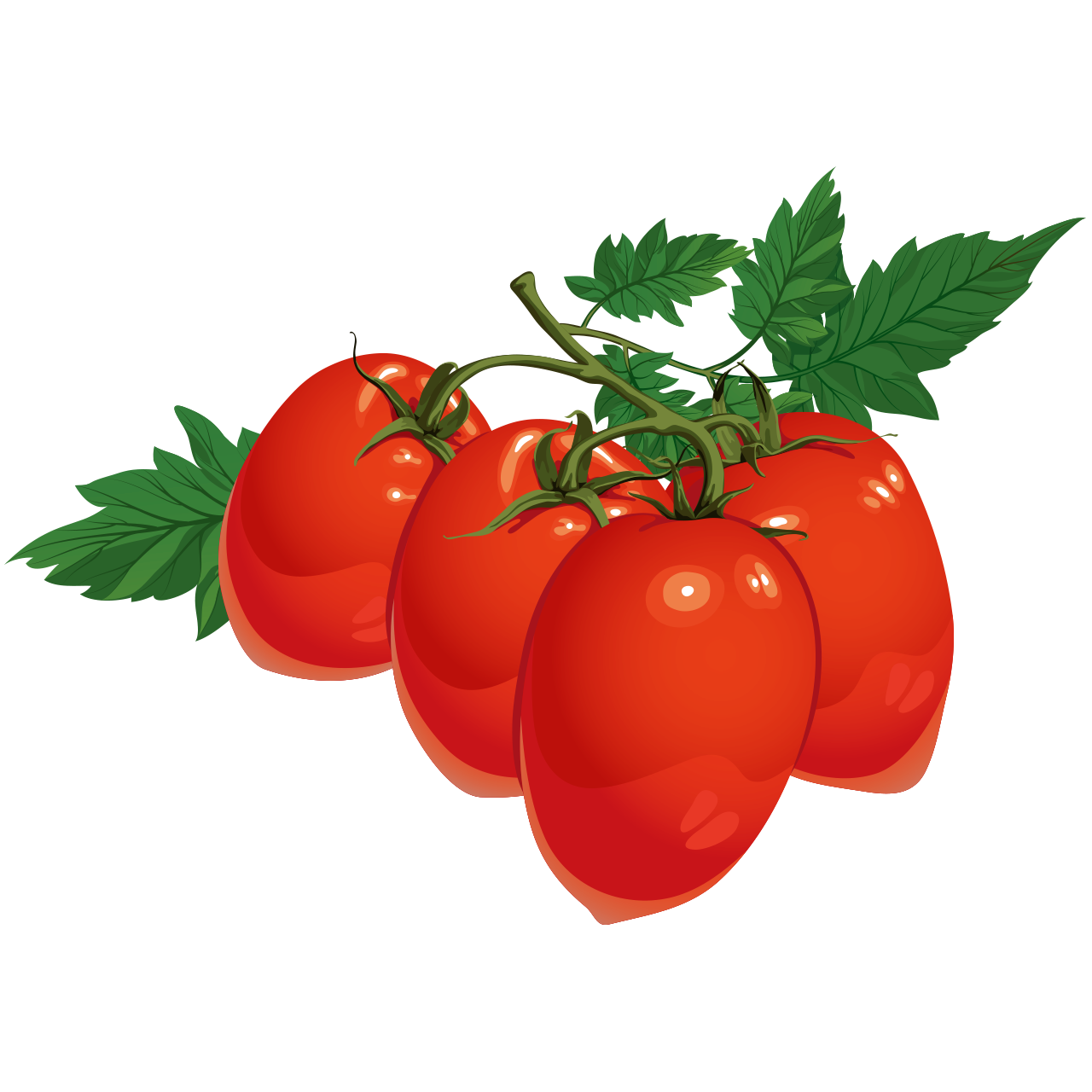tomate-perita